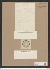 Melosira roeaseana var. porocyclia Grun. (de-Toni-Nr.: Genus 213, Species 5319) Zeichnungen Sammlung Grunow Nr. 9232 (NHMW-BOT-W0379021)